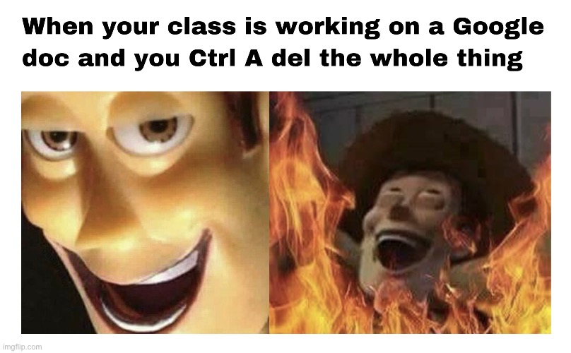 Burning Woody | image tagged in woody,woody on fire,burning woody | made w/ Imgflip meme maker