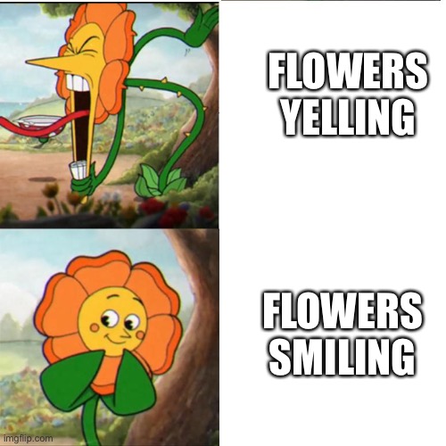 Cuphead Flower | FLOWERS YELLING; FLOWERS SMILING | image tagged in cuphead flower | made w/ Imgflip meme maker