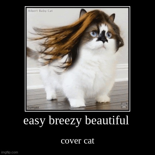 cover cat | image tagged in funny,demotivationals | made w/ Imgflip demotivational maker