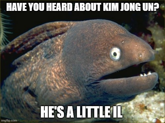 Bad Joke Eel | HAVE YOU HEARD ABOUT KIM JONG UN? HE'S A LITTLE IL | image tagged in memes,bad joke eel,AdviceAnimals | made w/ Imgflip meme maker