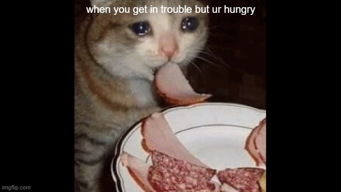 Crying cat memes | when you get in trouble but ur hungry | image tagged in 09-kitteh | made w/ Imgflip meme maker