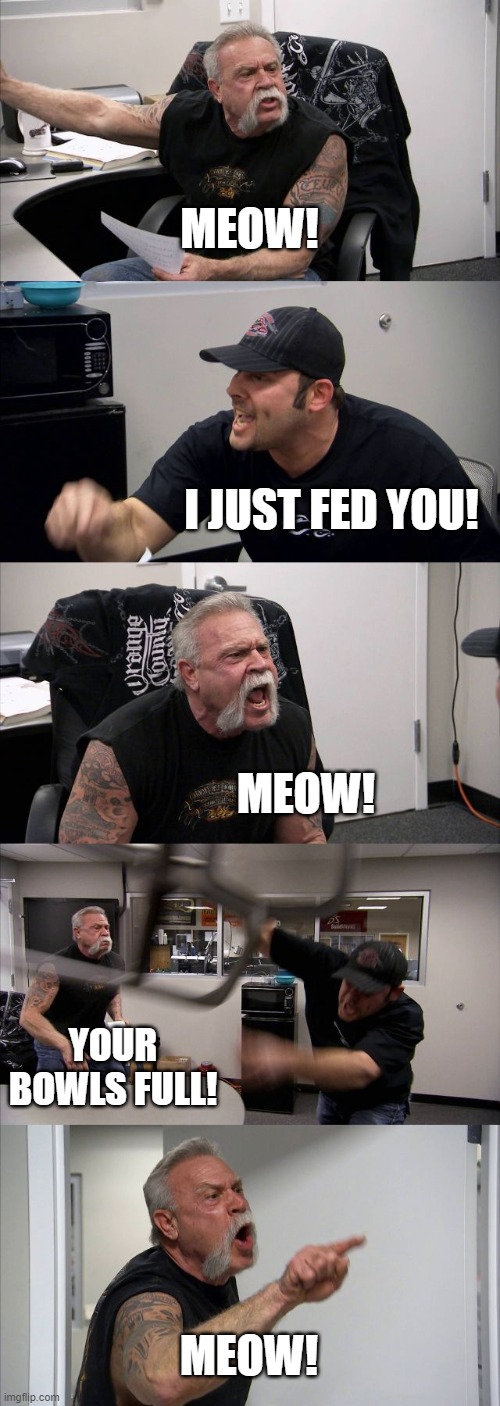 Cats be like | MEOW! I JUST FED YOU! MEOW! YOUR BOWLS FULL! MEOW! | image tagged in memes,american chopper argument | made w/ Imgflip meme maker
