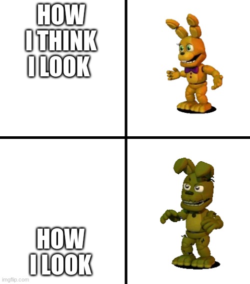 Expectations vs Reality (FNaF World Edit) | HOW I THINK I LOOK; HOW I LOOK | image tagged in expectations vs reality fnaf world edit | made w/ Imgflip meme maker