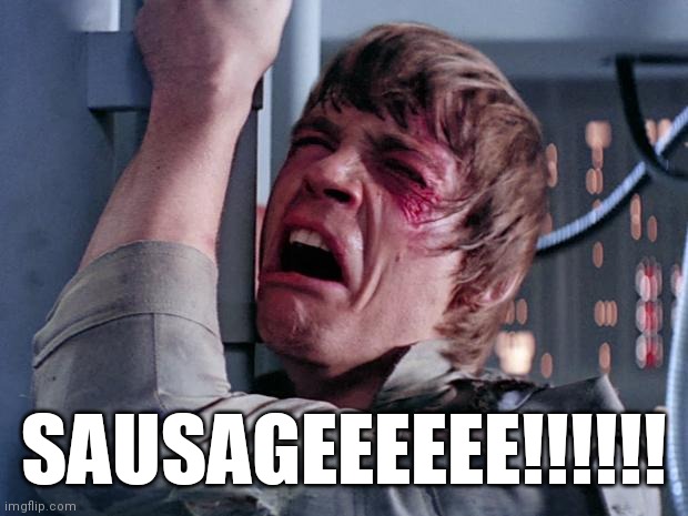 luke nooooo | SAUSAGEEEEEE!!!!!! | image tagged in luke nooooo | made w/ Imgflip meme maker