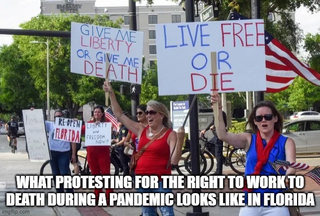 will the real sheeple please wave signs | WHAT PROTESTING FOR THE RIGHT TO WORK TO DEATH DURING A PANDEMIC LOOKS LIKE IN FLORIDA | image tagged in covid protesters | made w/ Imgflip meme maker