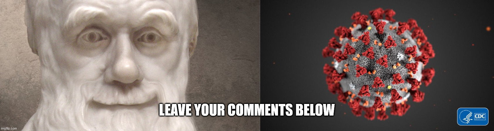 Darwinian Corona | LEAVE YOUR COMMENTS BELOW | image tagged in covid 19 | made w/ Imgflip meme maker