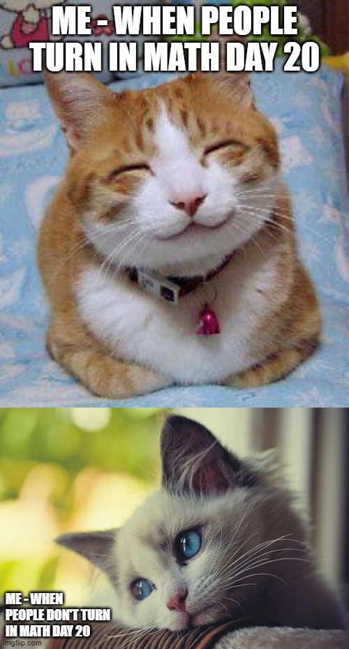 Happy Cat Sad Cat | ME - WHEN PEOPLE TURN IN MATH DAY 20; ME - WHEN PEOPLE DON'T TURN IN MATH DAY 20 | image tagged in so happy cat | made w/ Imgflip meme maker