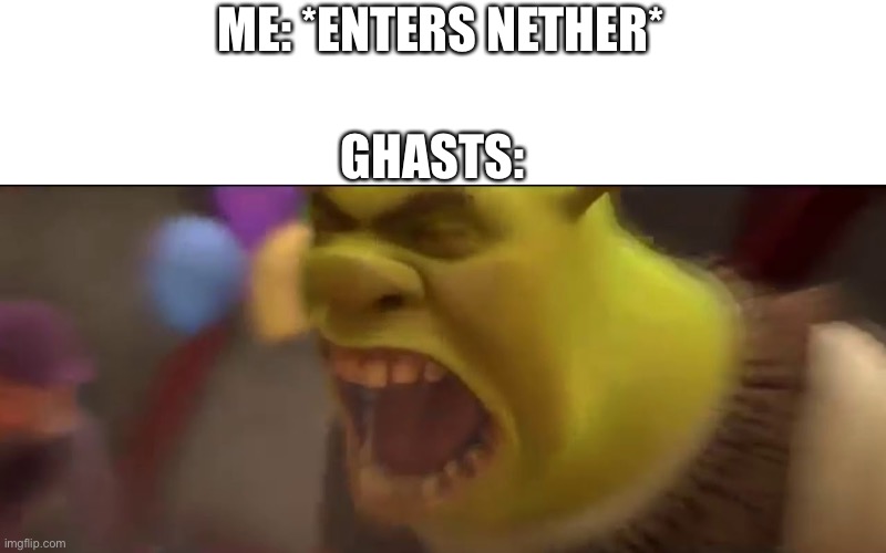 Shrek Screaming | ME: *ENTERS NETHER*; GHASTS: | image tagged in shrek screaming,minecraft,memes | made w/ Imgflip meme maker