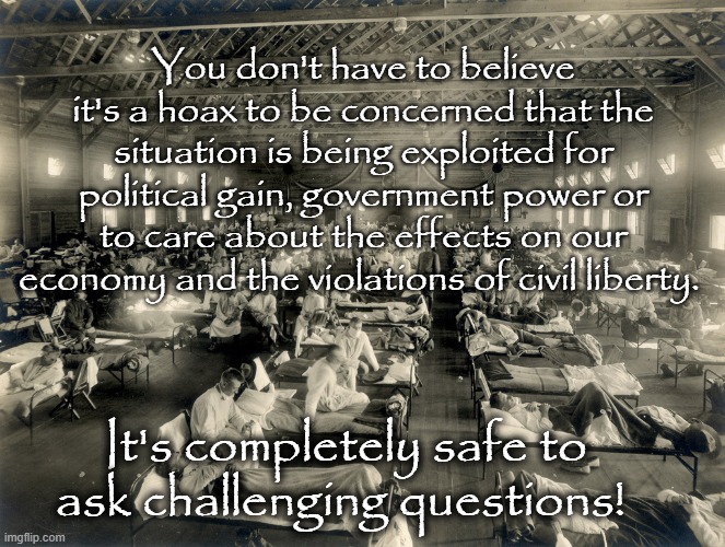 Question Pandemic | You don't have to believe it's a hoax to be concerned that the situation is being exploited for political gain, government power or to care about the effects on our economy and the violations of civil liberty. It's completely safe to ask challenging questions! | image tagged in pandemic,question authority | made w/ Imgflip meme maker