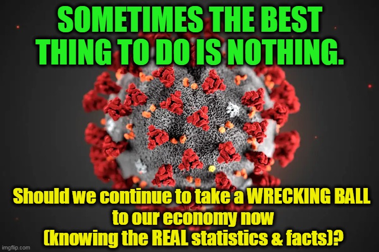 Should We Quit Digging? | SOMETIMES THE BEST THING TO DO IS NOTHING. Should we continue to take a WRECKING BALL 
to our economy now
(knowing the REAL statistics & facts)? | image tagged in politics,political meme,coronavirus,liberal vs conservative,congress,pandemic | made w/ Imgflip meme maker