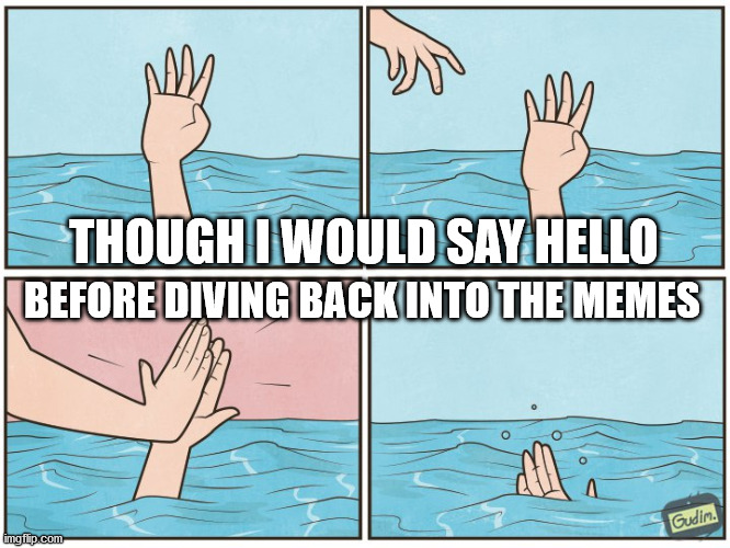 Bad Pun Punishment | THOUGH I WOULD SAY HELLO; BEFORE DIVING BACK INTO THE MEMES | image tagged in high five drown,bad puns,memes,funny,puns | made w/ Imgflip meme maker