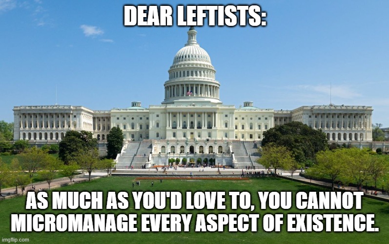 Leftist Command & Control | DEAR LEFTISTS:; AS MUCH AS YOU'D LOVE TO, YOU CANNOT MICROMANAGE EVERY ASPECT OF EXISTENCE. | image tagged in leftist lust for power | made w/ Imgflip meme maker