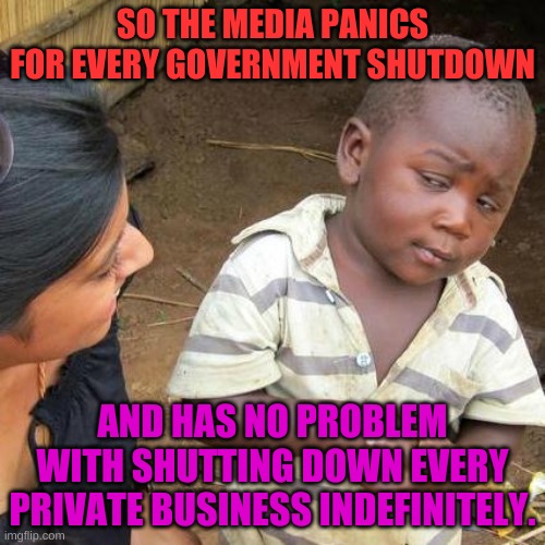 oh yeah, that's just smart | SO THE MEDIA PANICS FOR EVERY GOVERNMENT SHUTDOWN; AND HAS NO PROBLEM WITH SHUTTING DOWN EVERY PRIVATE BUSINESS INDEFINITELY. | image tagged in memes,third world skeptical kid | made w/ Imgflip meme maker