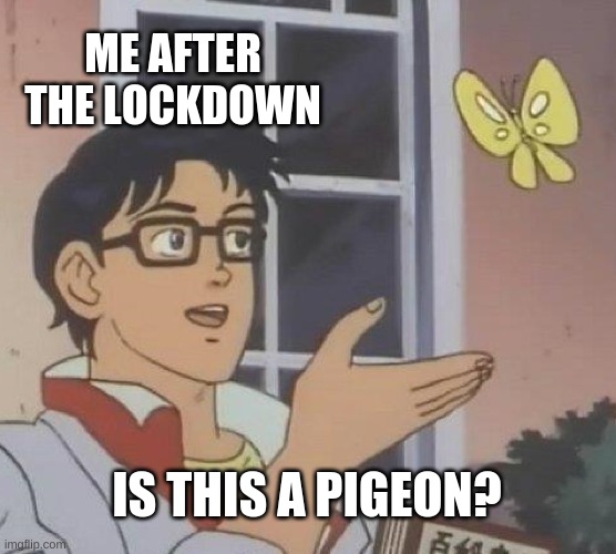 Is This A Pigeon | ME AFTER THE LOCKDOWN; IS THIS A PIGEON? | image tagged in memes,is this a pigeon | made w/ Imgflip meme maker