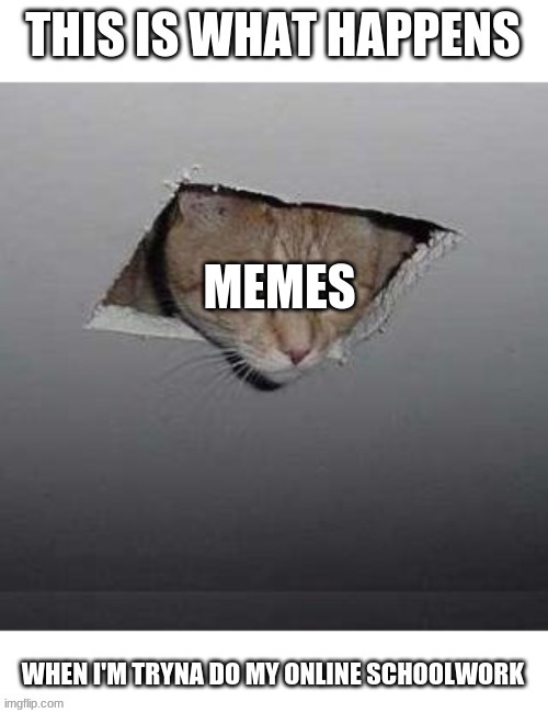 Help me | MEMES | image tagged in w0t | made w/ Imgflip meme maker