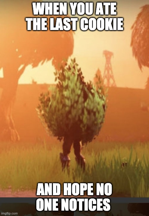 Fortnite bush | WHEN YOU ATE THE LAST COOKIE; AND HOPE NO ONE NOTICES | image tagged in fortnite bush | made w/ Imgflip meme maker