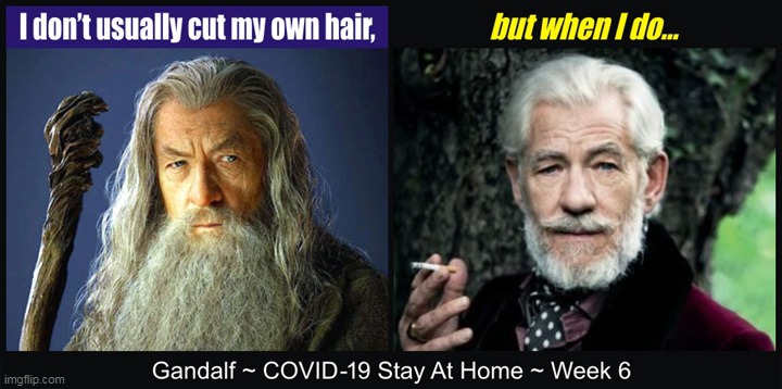 The World's Most Interesting Wizard... | image tagged in memes,funny,gandalf,stay at home,covid-19 | made w/ Imgflip meme maker