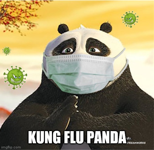 Kungflu panda | KUNG FLU PANDA | image tagged in kungflu panda | made w/ Imgflip meme maker