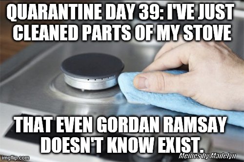 Quarantine |  QUARANTINE DAY 39: I'VE JUST 
CLEANED PARTS OF MY STOVE; THAT EVEN GORDAN RAMSAY 
DOESN'T KNOW EXIST. Memes by Madelyn | image tagged in stove | made w/ Imgflip meme maker