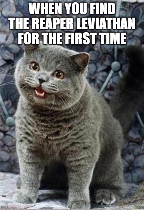 I can has cheezburger cat | WHEN YOU FIND THE REAPER LEVIATHAN FOR THE FIRST TIME | image tagged in i can has cheezburger cat | made w/ Imgflip meme maker
