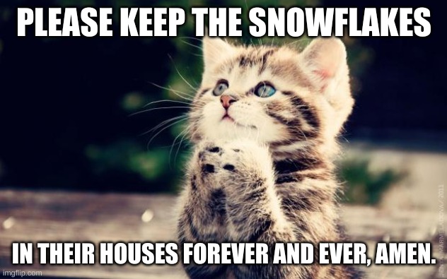 I'm loving all the extra attention... | PLEASE KEEP THE SNOWFLAKES; IN THEIR HOUSES FOREVER AND EVER, AMEN. | image tagged in cute kitty | made w/ Imgflip meme maker