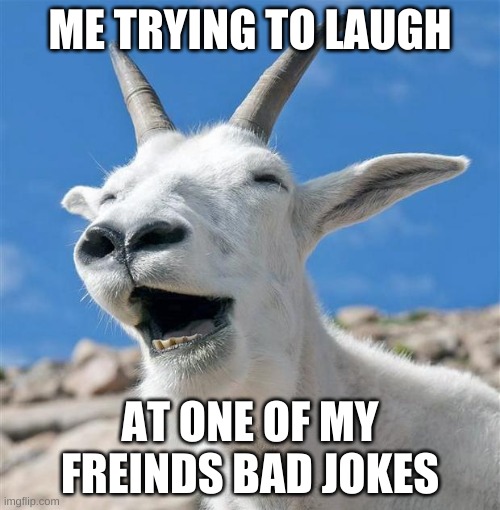 Laughing Goat Meme | ME TRYING TO LAUGH; AT ONE OF MY FRIENDS BAD JOKES | image tagged in memes,laughing goat | made w/ Imgflip meme maker