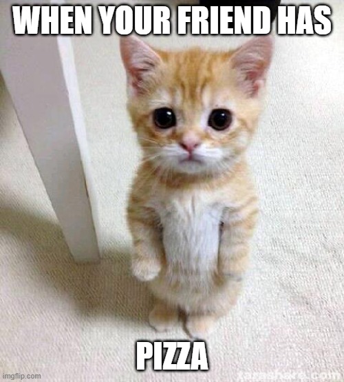 Cute Cat | WHEN YOUR FRIEND HAS; PIZZA | image tagged in memes,cute cat | made w/ Imgflip meme maker