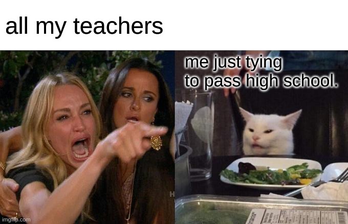 Woman Yelling At Cat | all my teachers; me just tying to pass high school. | image tagged in memes,woman yelling at cat | made w/ Imgflip meme maker