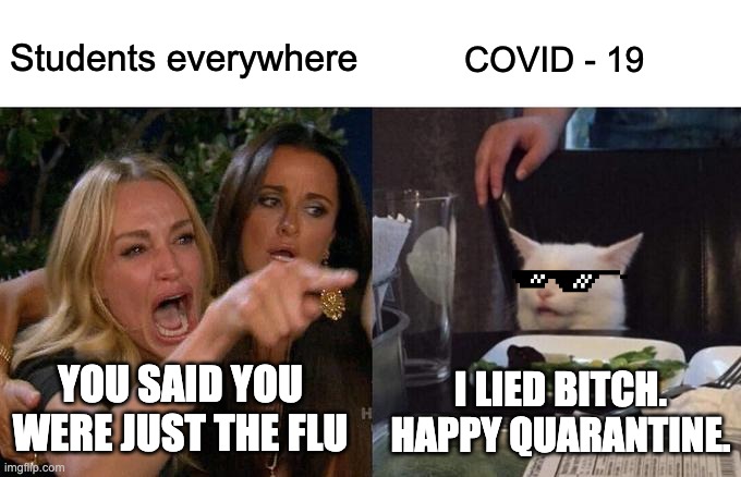 COVID-19 | Students everywhere; COVID - 19; YOU SAID YOU WERE JUST THE FLU; I LIED BITCH. HAPPY QUARANTINE. | image tagged in memes,woman yelling at cat | made w/ Imgflip meme maker