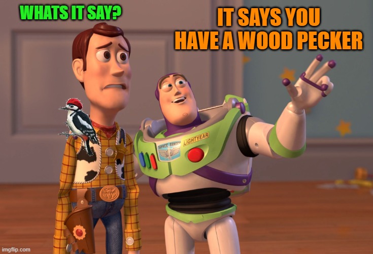 woodies woodpecker | WHATS IT SAY? IT SAYS YOU HAVE A WOOD PECKER | image tagged in memes,x x everywhere,woodpecker | made w/ Imgflip meme maker