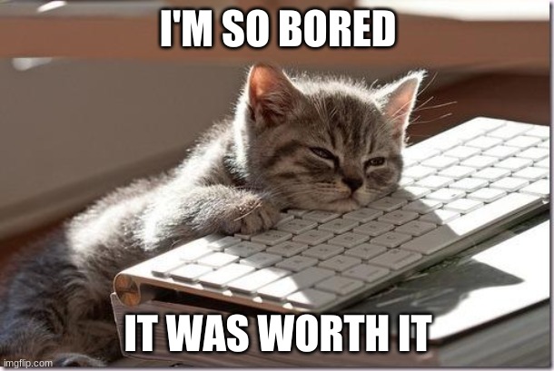 Bored Keyboard Cat | I'M SO BORED IT WAS WORTH IT | image tagged in bored keyboard cat | made w/ Imgflip meme maker