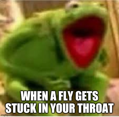 WHEN A FLY GETS STUCK IN YOUR THROAT | made w/ Imgflip meme maker