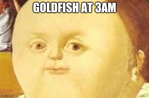 that moment when | GOLDFISH AT 3AM | image tagged in that moment when | made w/ Imgflip meme maker