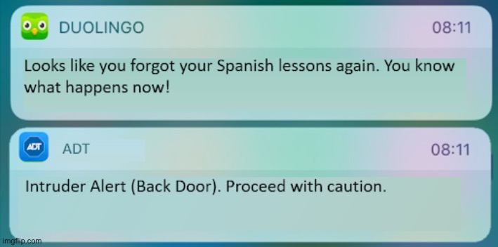 You forgot your Spanish lesson today! | image tagged in duolingo,horror | made w/ Imgflip meme maker