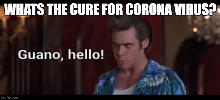 WHATS THE CURE FOR CORONA VIRUS? | image tagged in coronavirus,covid-19,guano,ace ventura | made w/ Imgflip meme maker