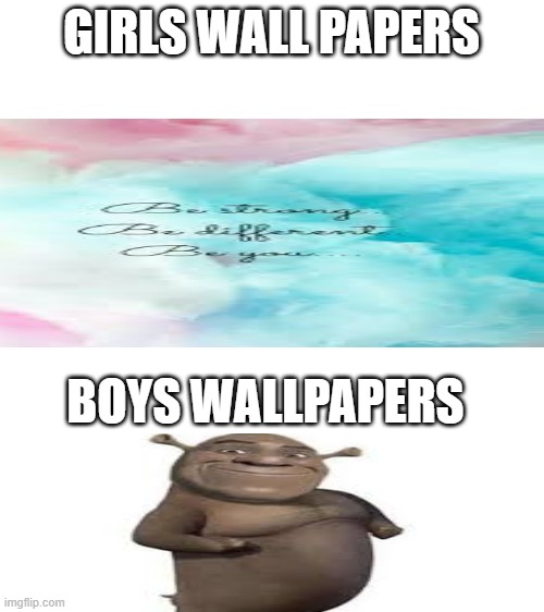 girls vs. boys | GIRLS WALL PAPERS; BOYS WALLPAPERS | image tagged in blank white template | made w/ Imgflip meme maker