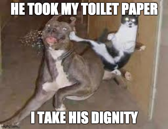 Toilet Paper Is Important | HE TOOK MY TOILET PAPER; I TAKE HIS DIGNITY | image tagged in did some one say ____,quarantine,toilet paper | made w/ Imgflip meme maker