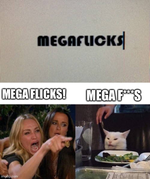 It actually does say MegaFlicks | MEGA F***S; MEGA FLICKS! | image tagged in memes,woman yelling at cat,funny,misspelled | made w/ Imgflip meme maker