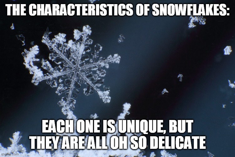 THE CHARACTERISTICS OF SNOWFLAKES: EACH ONE IS UNIQUE, BUT THEY ARE ALL OH SO DELICATE | made w/ Imgflip meme maker