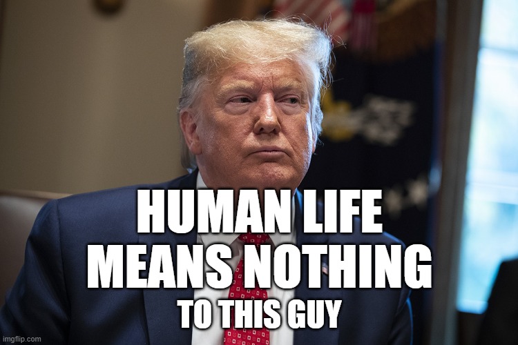 HUMAN LIFE MEANS NOTHING; TO THIS GUY | image tagged in trump | made w/ Imgflip meme maker