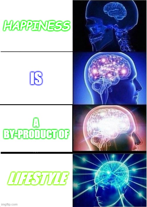 Happpiness is a by-product of lifestyle | HAPPINESS; IS; A BY-PRODUCT OF; LIFESTYLE | image tagged in memes,expanding brain | made w/ Imgflip meme maker