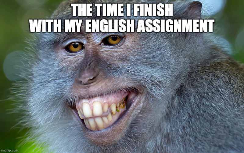 English Assignment | THE TIME I FINISH WITH MY ENGLISH ASSIGNMENT | image tagged in funny animals | made w/ Imgflip meme maker