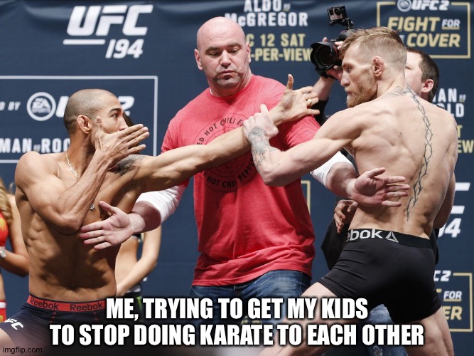 ME, TRYING TO GET MY KIDS TO STOP DOING KARATE TO EACH OTHER | image tagged in kids,karate,wild,brothers,dad | made w/ Imgflip meme maker