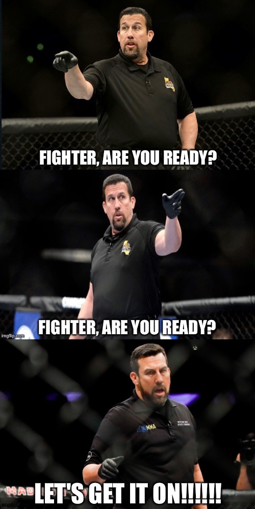FIGHTER, ARE YOU READY? FIGHTER, ARE YOU READY? LET'S GET IT ON!!!!!! | image tagged in ufc,referee,fighter,argument | made w/ Imgflip meme maker