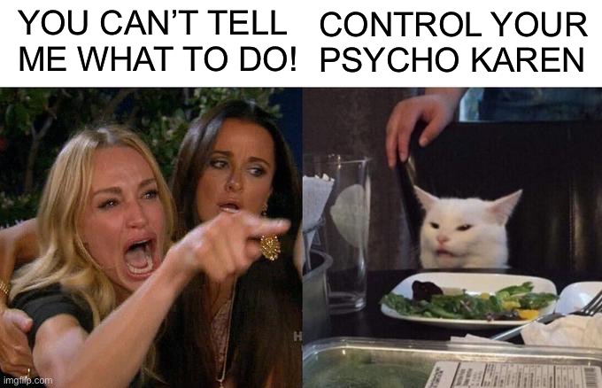 Woman Yelling At Cat Meme | YOU CAN’T TELL ME WHAT TO DO! CONTROL YOUR PSYCHO KAREN | image tagged in memes,woman yelling at cat,psycho,cats,argument | made w/ Imgflip meme maker