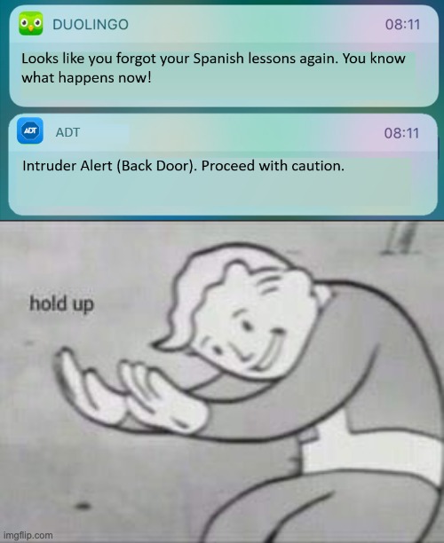 Never miss your Spanish lessons | image tagged in fallout hold up | made w/ Imgflip meme maker