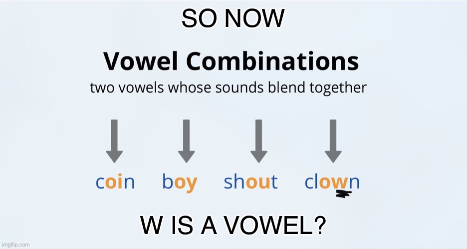 W the vowel | SO NOW; W IS A VOWEL? | image tagged in w the vowel | made w/ Imgflip meme maker