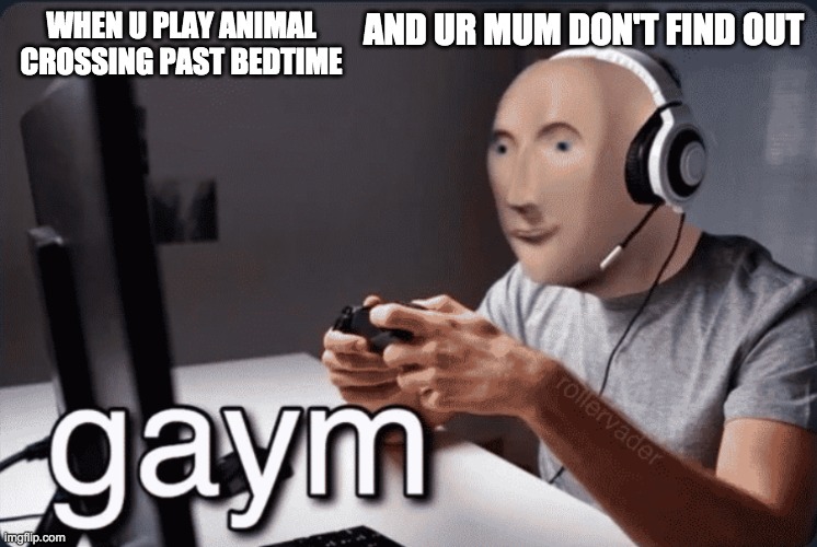 Gaym | AND UR MUM DON'T FIND OUT; WHEN U PLAY ANIMAL CROSSING PAST BEDTIME | image tagged in gaym | made w/ Imgflip meme maker
