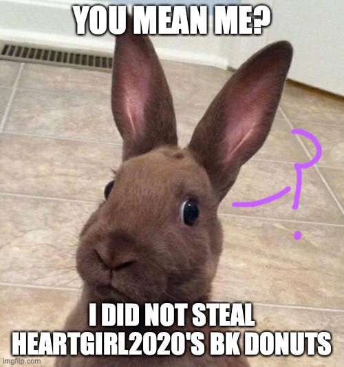He didn't do it! STOP SHAMING HIM! ( He did ) | YOU MEAN ME? I DID NOT STEAL HEARTGIRL2020'S BK DONUTS | image tagged in really rabbit | made w/ Imgflip meme maker