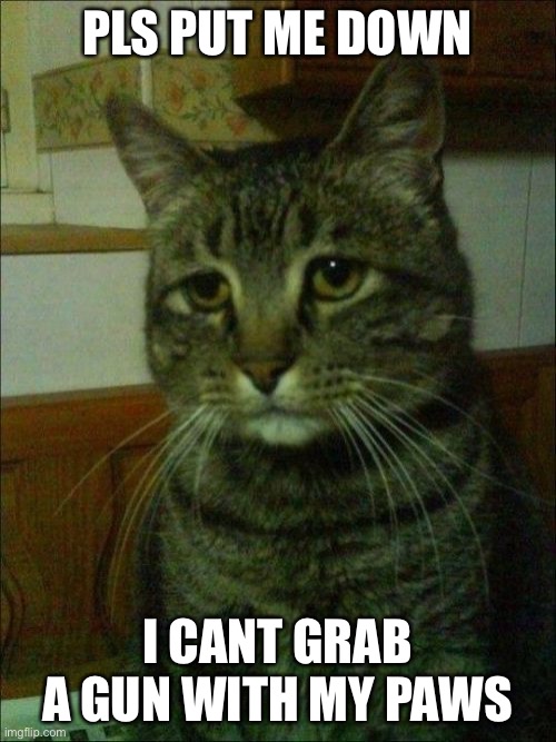 Depressed Cat | PLS PUT ME DOWN; I CANT GRAB A GUN WITH MY PAWS | image tagged in memes,depressed cat | made w/ Imgflip meme maker